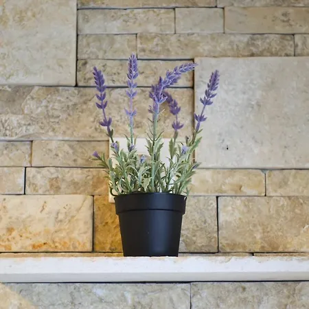 Vila Ana *